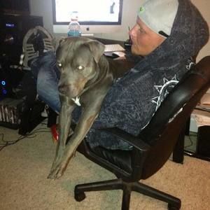 Meet your Posher, Cody